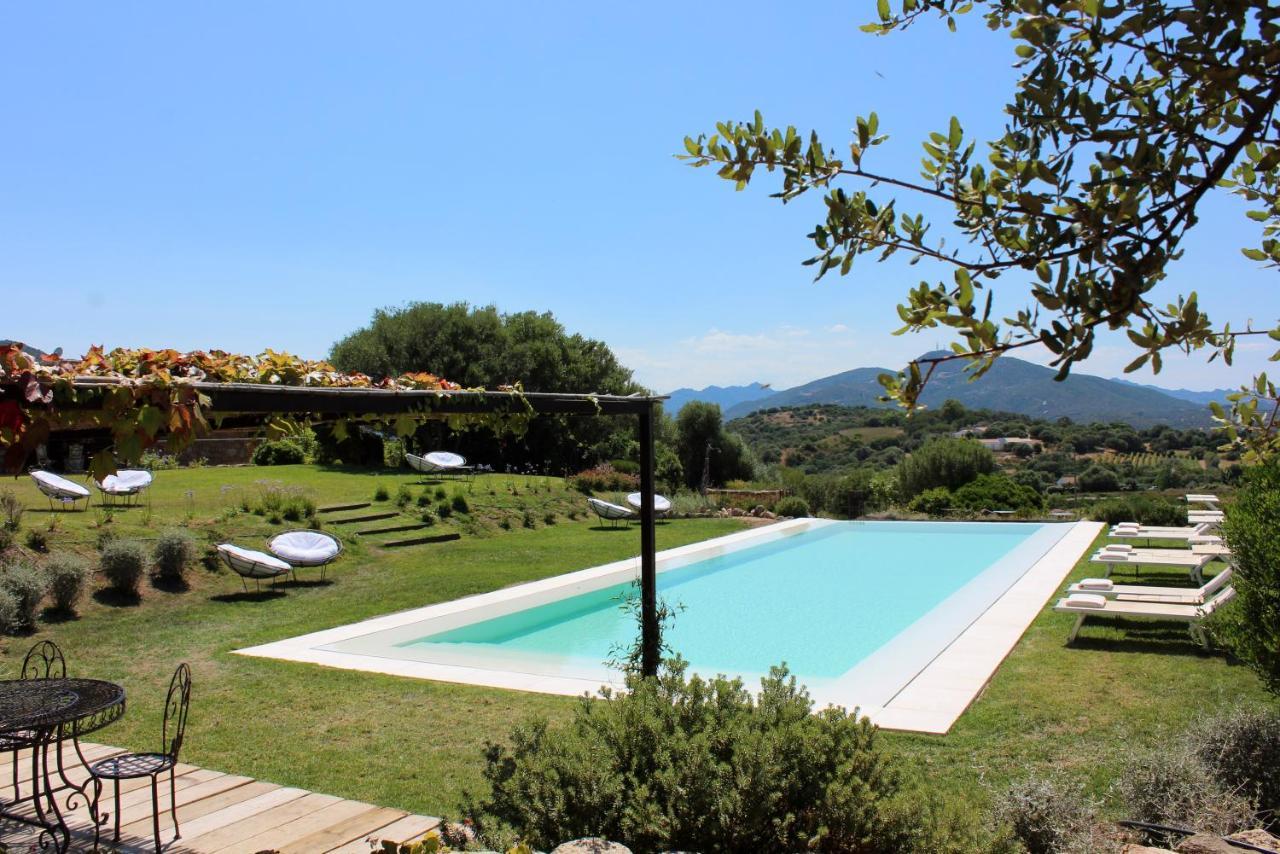 Albero Capovolto Bed & Breakfast กอลโฟอารันชี ภายนอก รูปภาพ