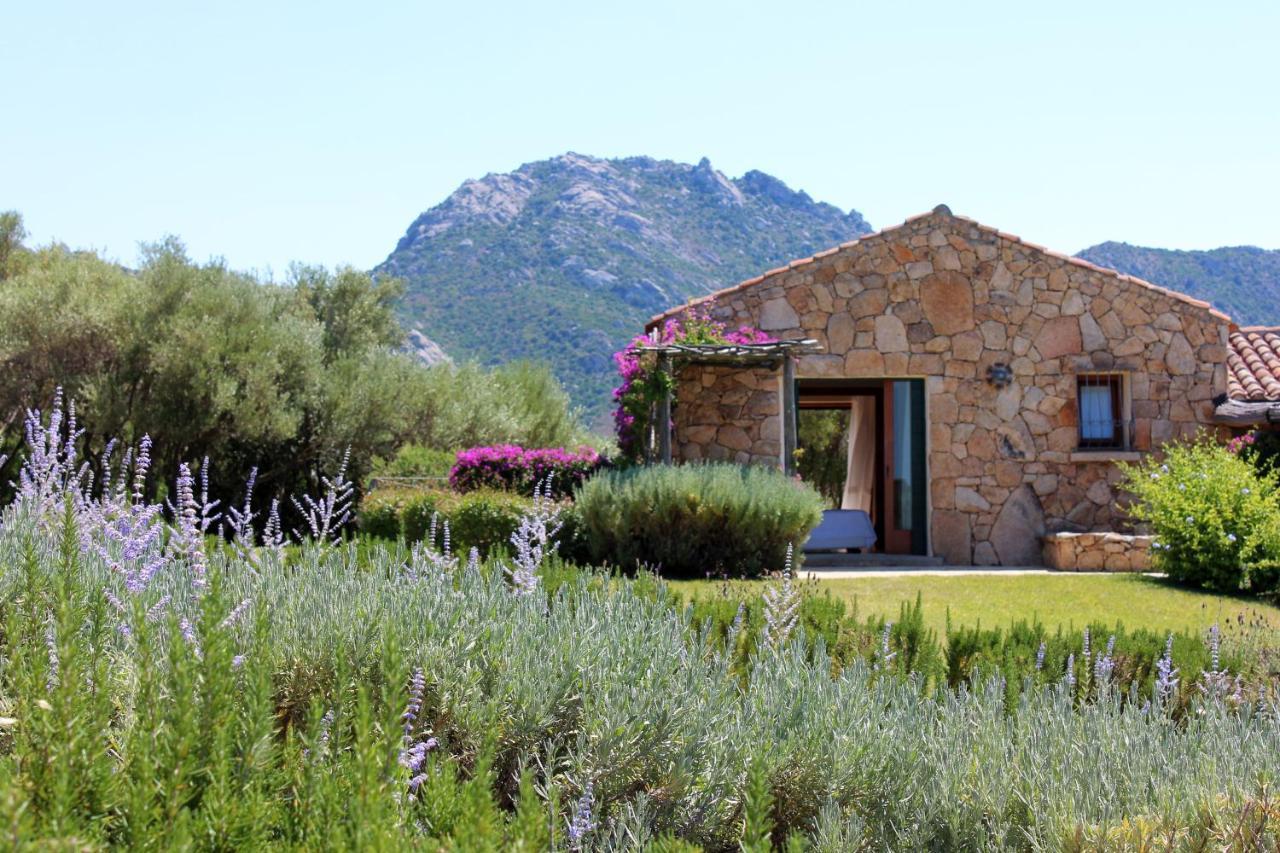 Albero Capovolto Bed & Breakfast กอลโฟอารันชี ภายนอก รูปภาพ
